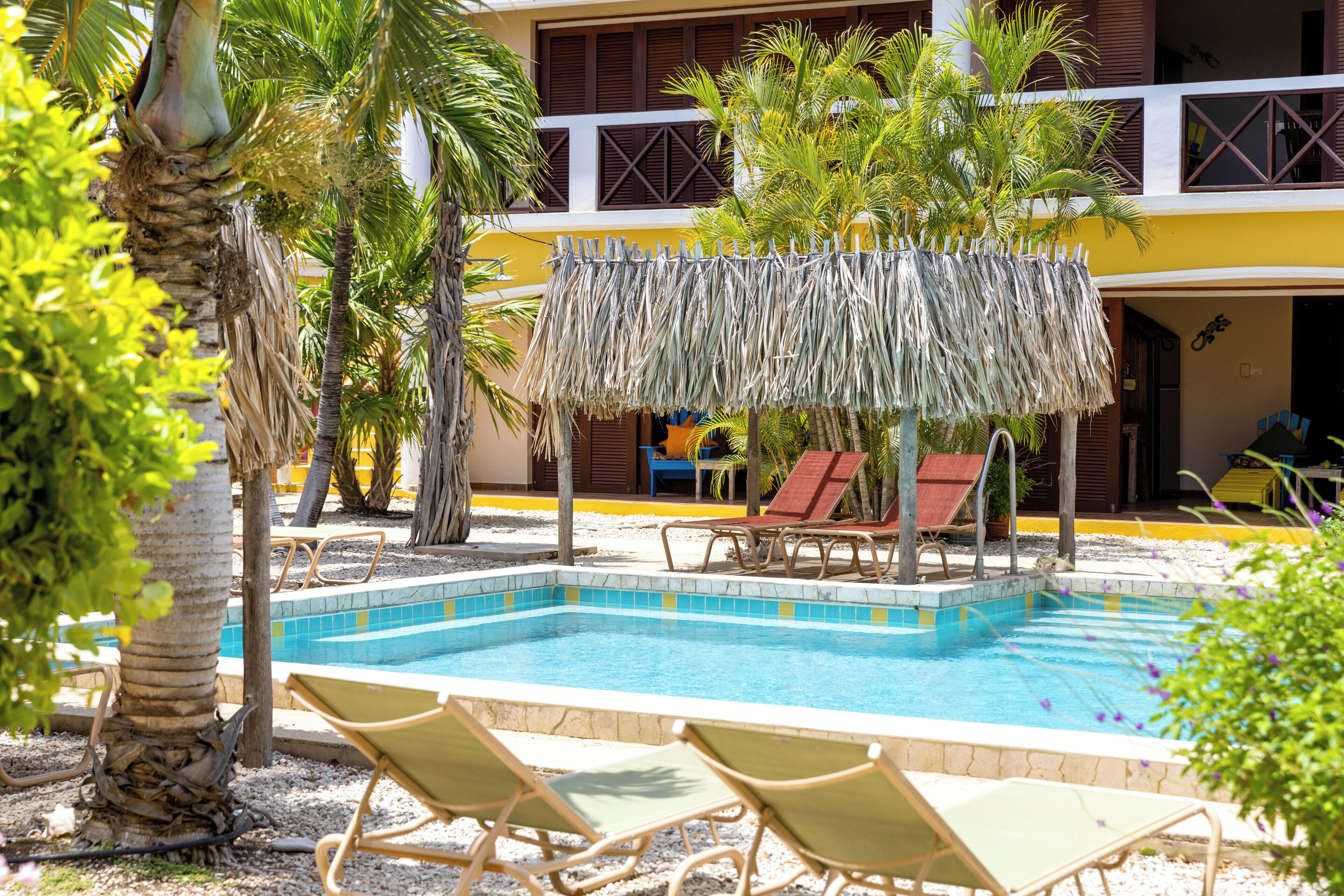 A pool area with lounge chairs, a thatched roof structure, and palm trees.