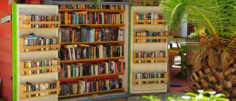 An open bookcase with bookshelves filled with books, set against a red wall and a palm tree.