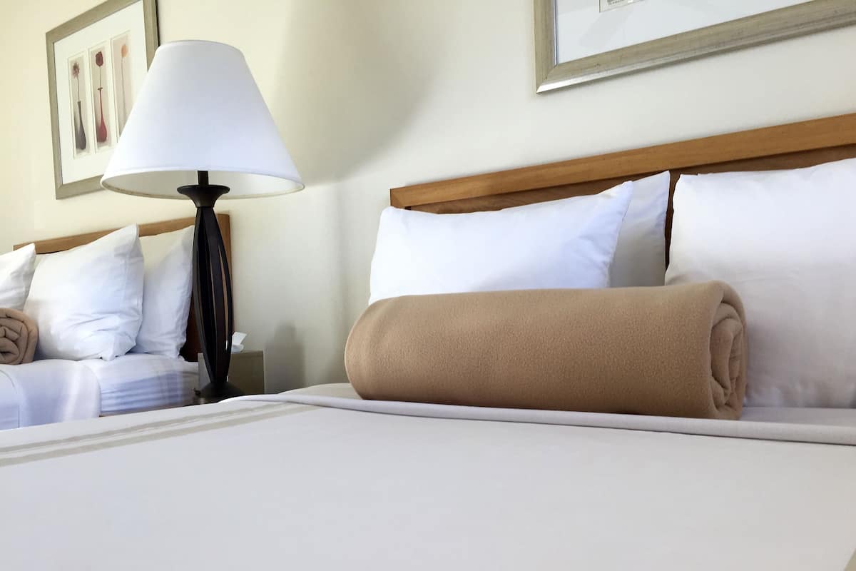 Habitación estándar, 2 camas Queen size | Tabla de planchar con plancha, wifi gratis y ropa de cama