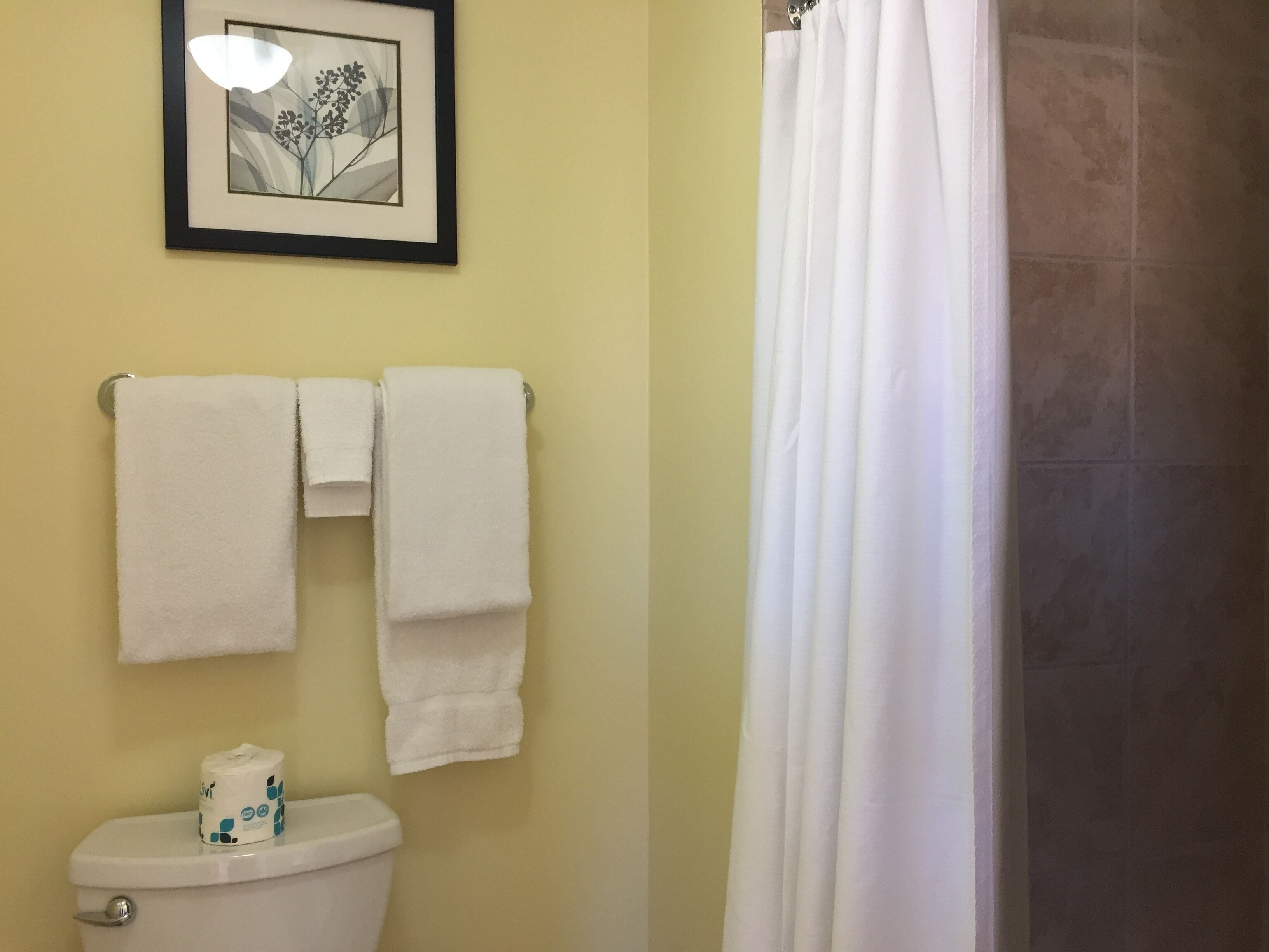 A bathroom with a toilet, two white towels, a framed picture, and a shower curtain.