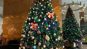 A large, decorated Christmas tree in a lobby with multiple smaller trees and wrapped gifts underneath. - Tower Icaraí Hotel (Niteroi)