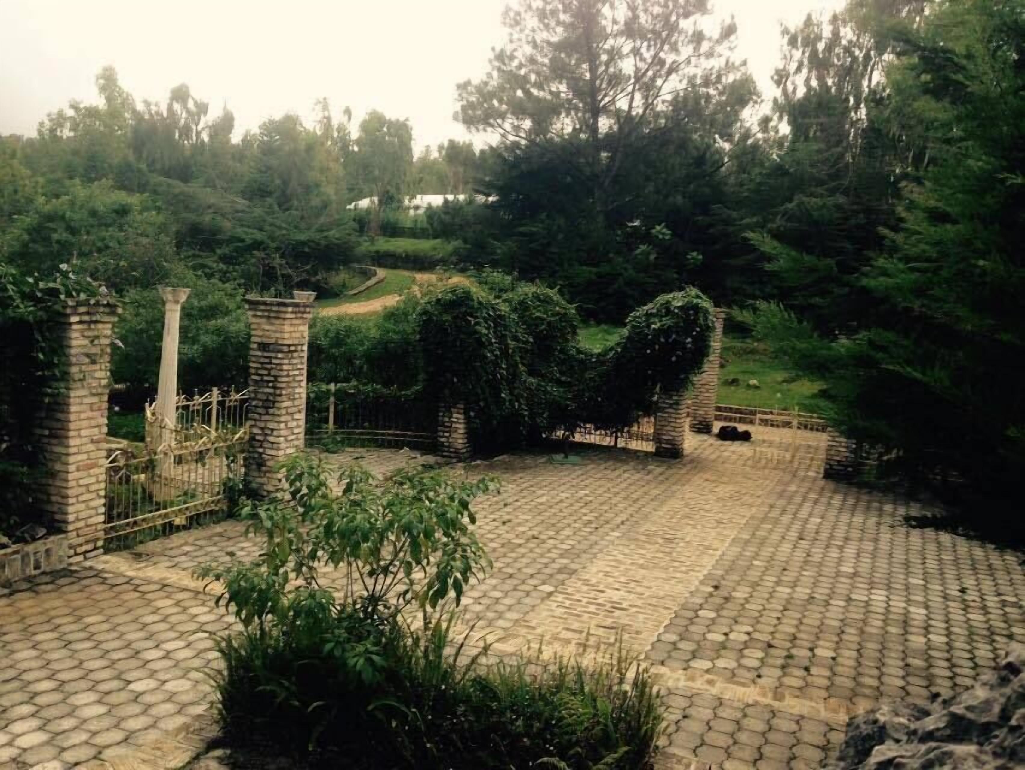 庭園