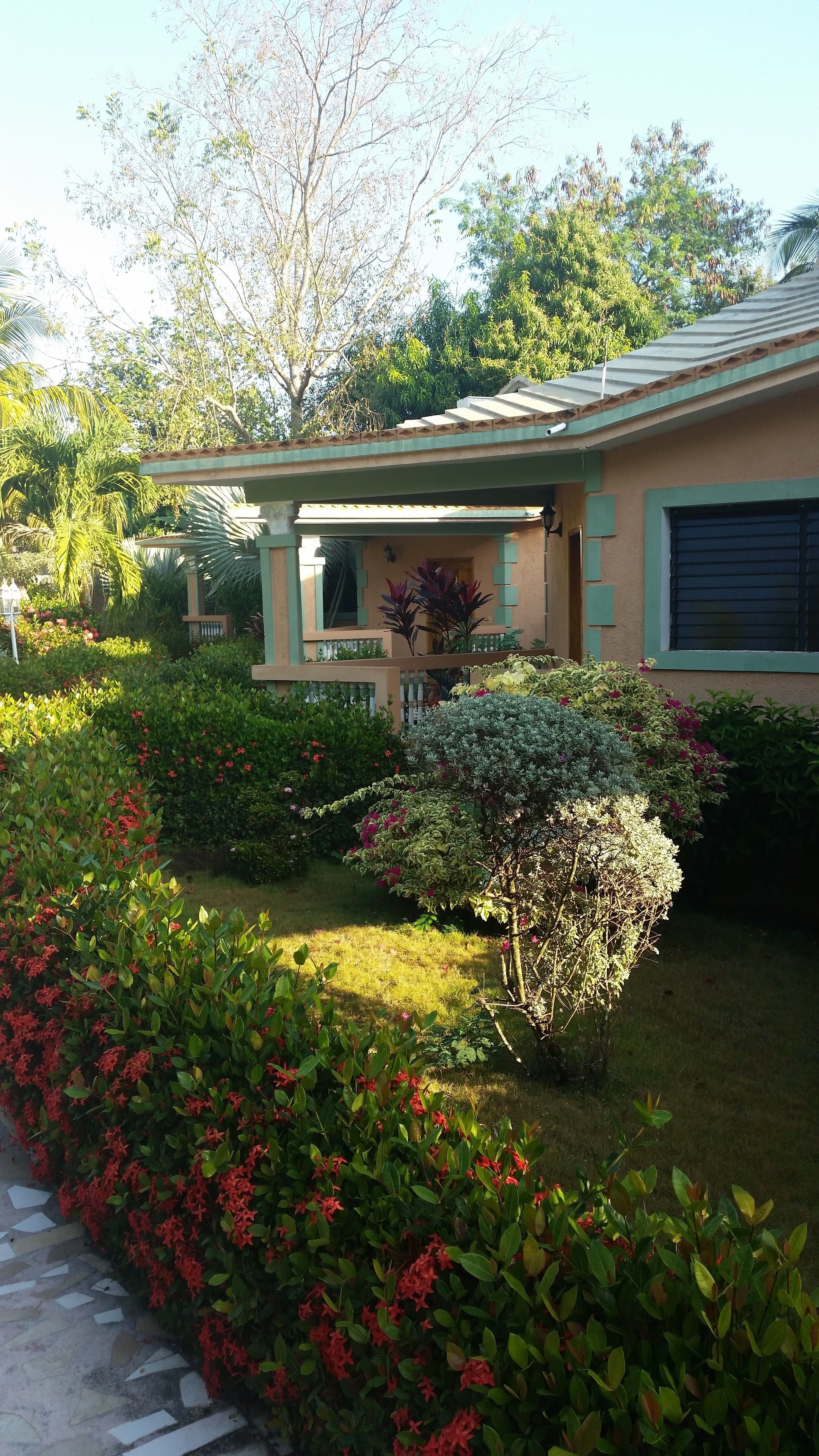 Overnattingsstedets uteområder