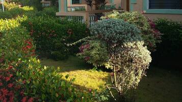 Khuôn viên nơi lưu trú