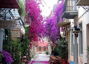 Vista desde la propiedad