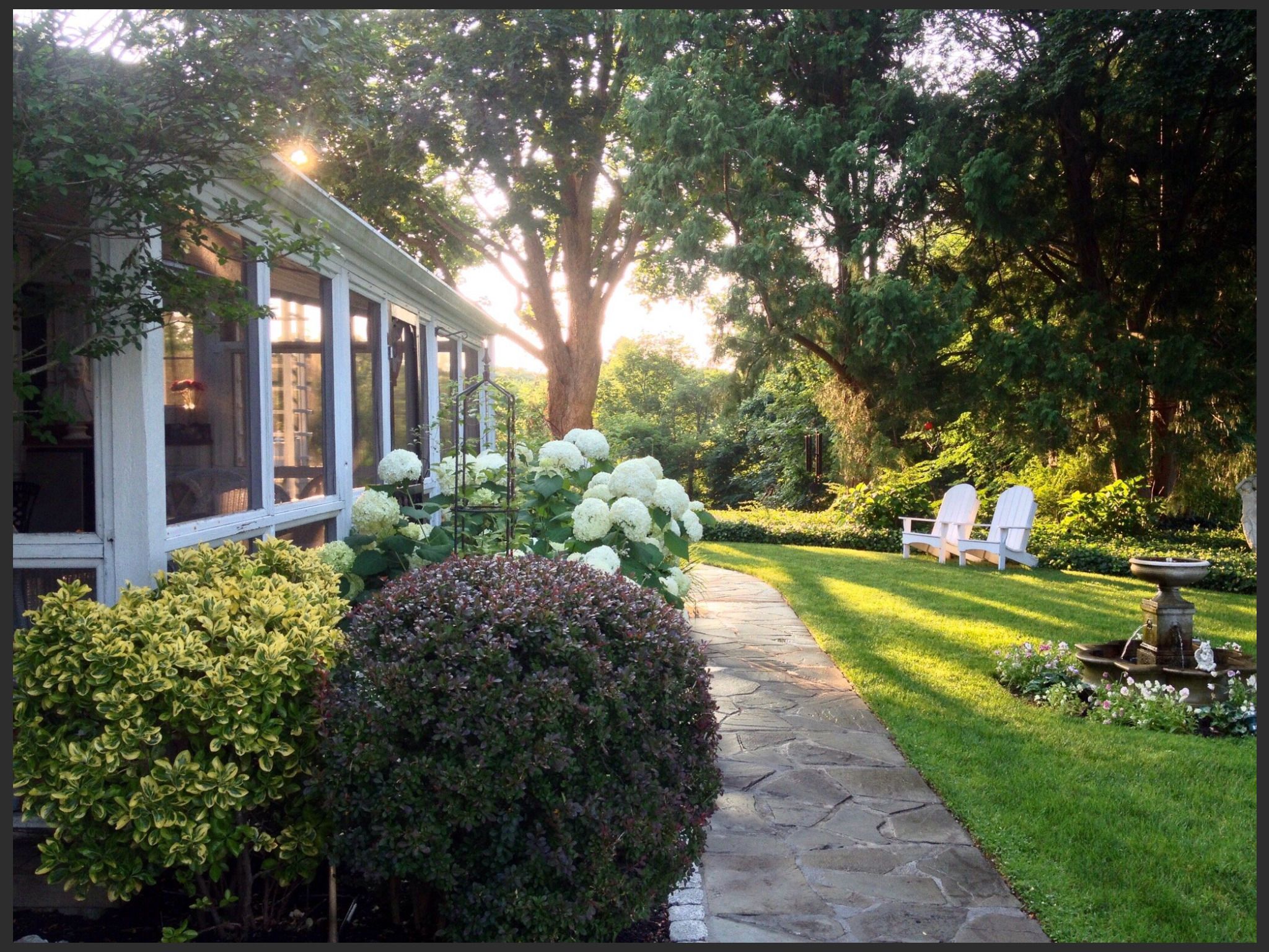 Vista desde la propiedad