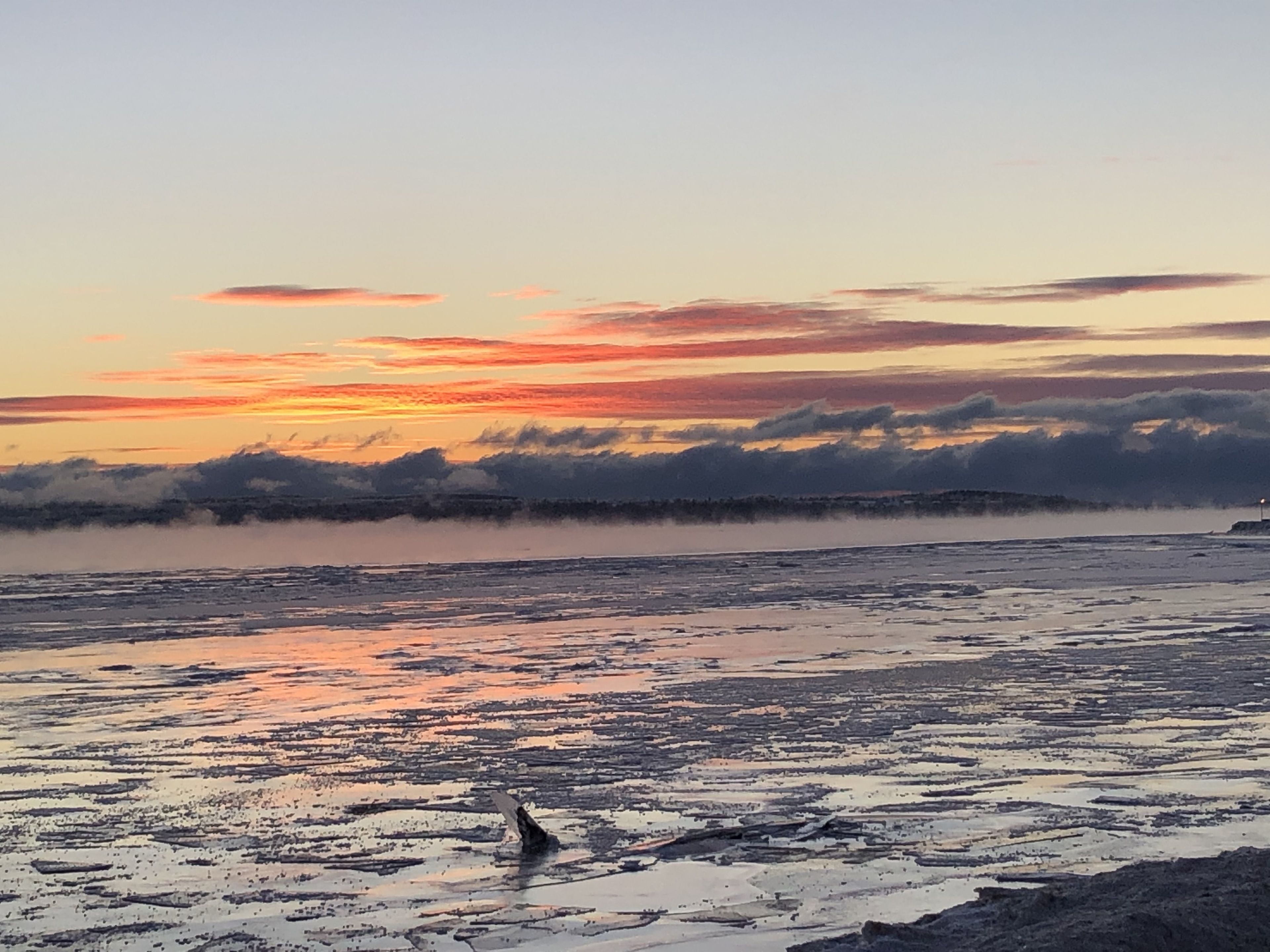 Een kustlandschap met een zonsondergang, waarop een strand met nat zand en een hond op de voorgrond te zien is.
