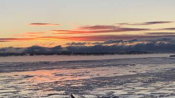 Een kustlandschap met een zonsondergang, waarop een strand met nat zand en een hond op de voorgrond te zien is.