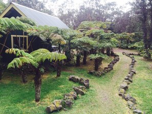 Property grounds - Volcano Hidden Cottage (Volcano)