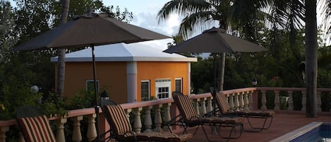 A poolside area with lounge chairs and umbrellas, a pool, and palm trees.