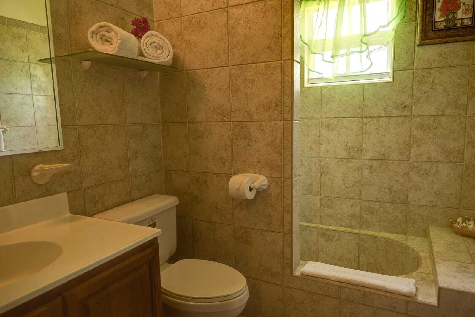 A bathroom with a toilet, sink, and shower area.