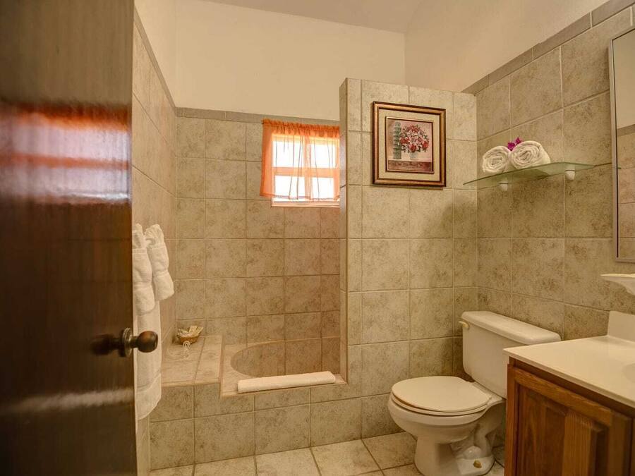 Un baño con inodoro, ducha y lavamanos.