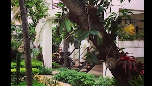 Un jardin luxuriant, avec une grande variété de plantes et de fleurs, un palmier et un escalier menant à un niveau supérieur.