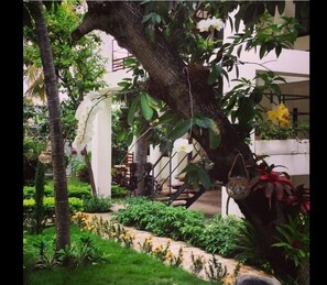 Garden - Maxime Boutique Hotel (Petionville)