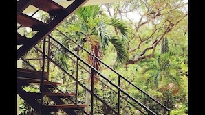 Un escalier avec une rampe métallique mène à un espace extérieur luxuriant et verdoyant, agrémenté d’arbres et de plantes.