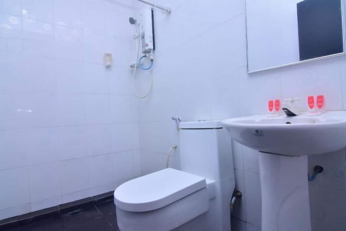 Shower, free toiletries, bidet, towels