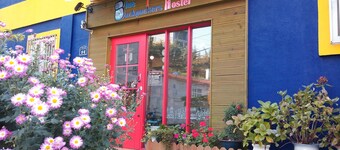 Blue Backpackers Hostel