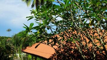 A house with a tiled roof, surrounded by lush greenery and palm trees.