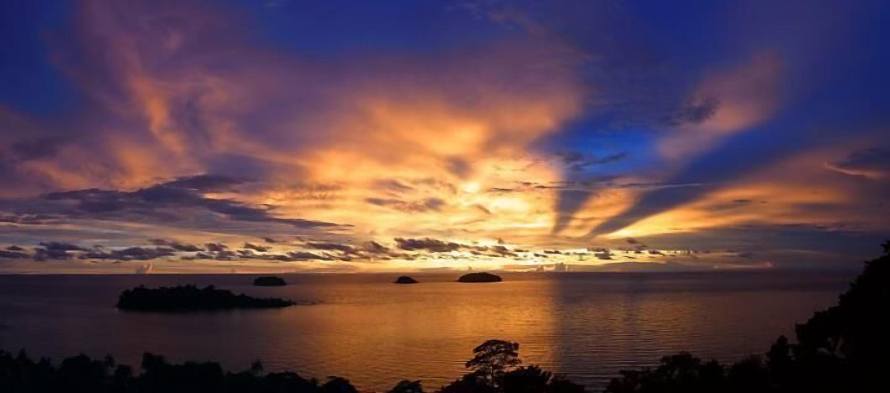 Foto - Paradise Bungalows