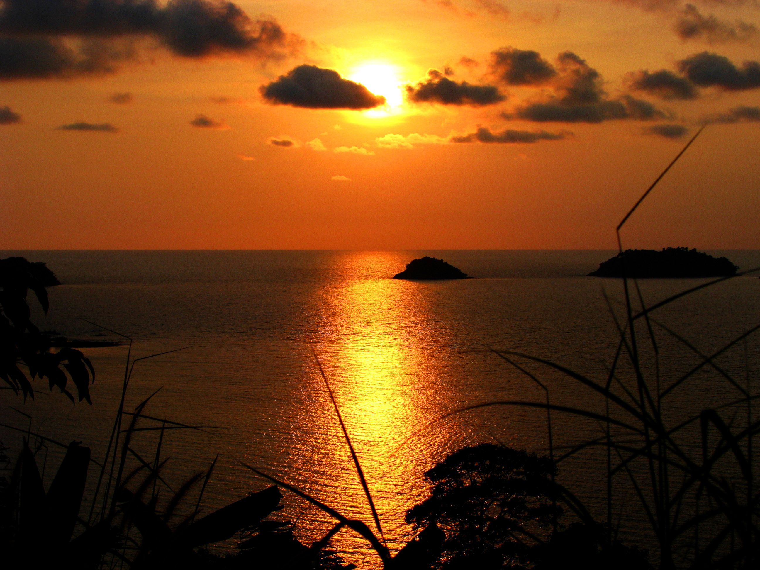 Foto - Paradise Bungalows