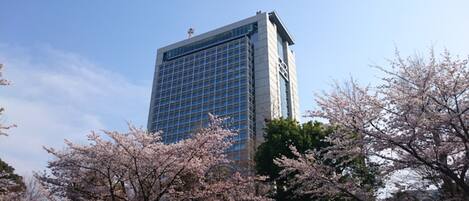 A tall building with a modern glass facade, surrounded by cherry blossom trees.