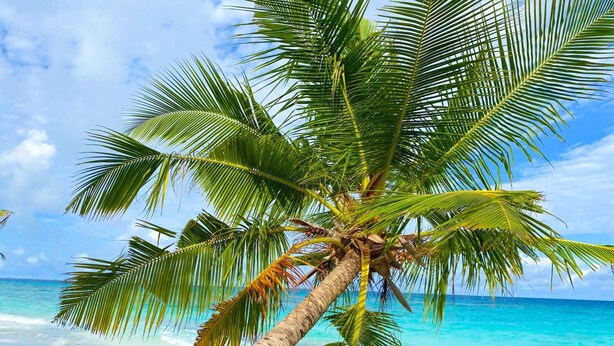 Unclassified image, 1 of 38, button - TME Retreats Dhigurah (Dhigurah)