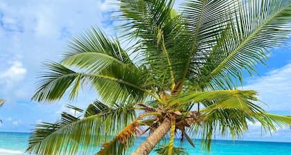 TME Retreats Dhigurah