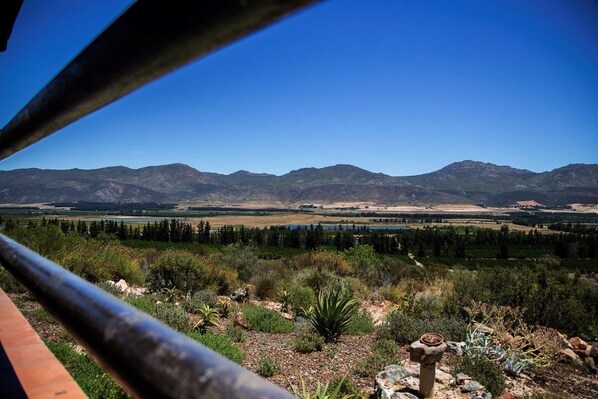 Vista desde la propiedad