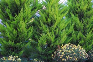 Garden - Palm Bay Beach Hotel (Datça)