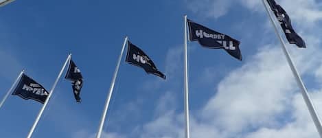 Several flags on flagpoles against a clear blue sky.