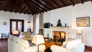 Una sala de estar con chimenea, sofás y televisión.