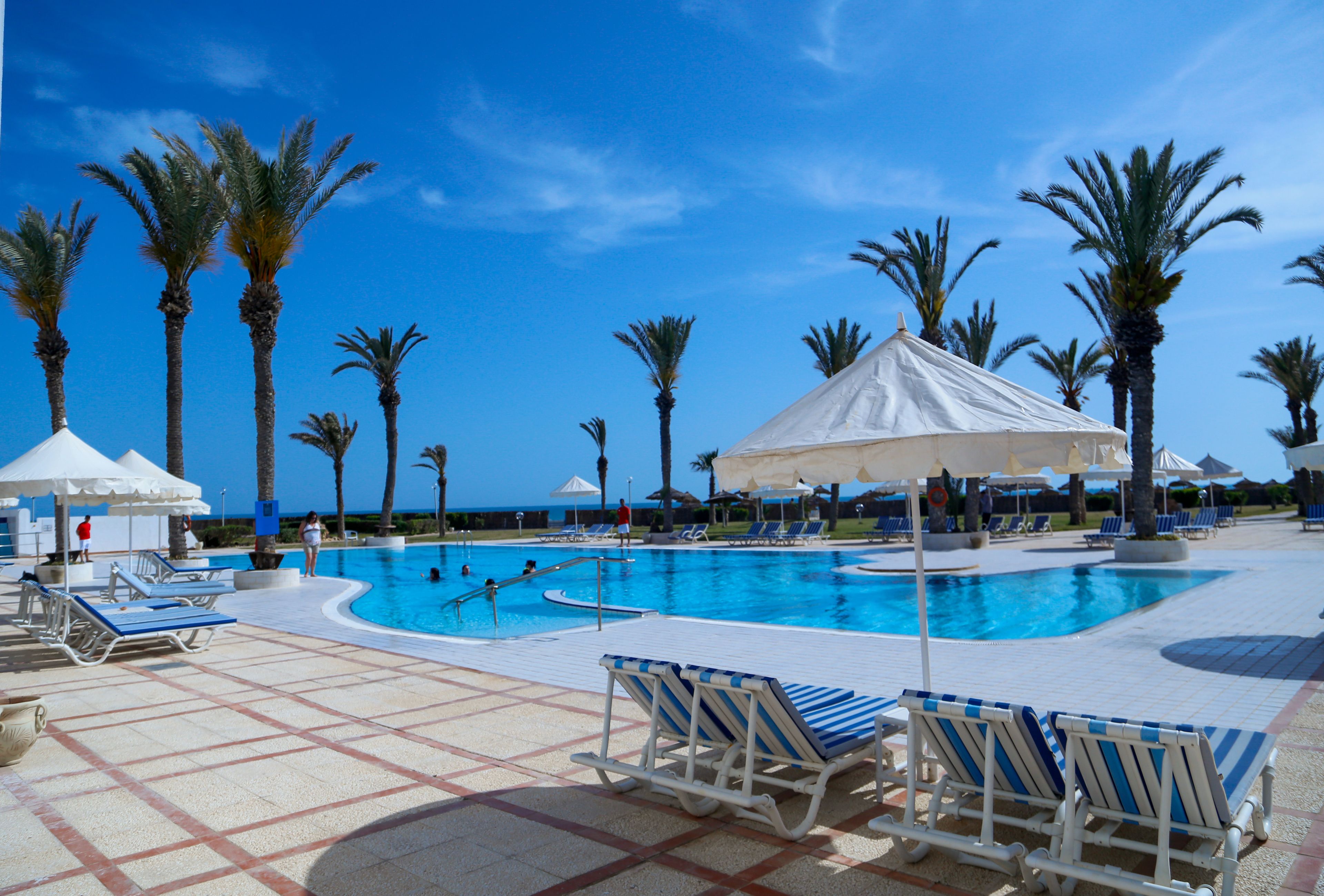 A pool area with lounge chairs, umbrellas, and palm trees.
