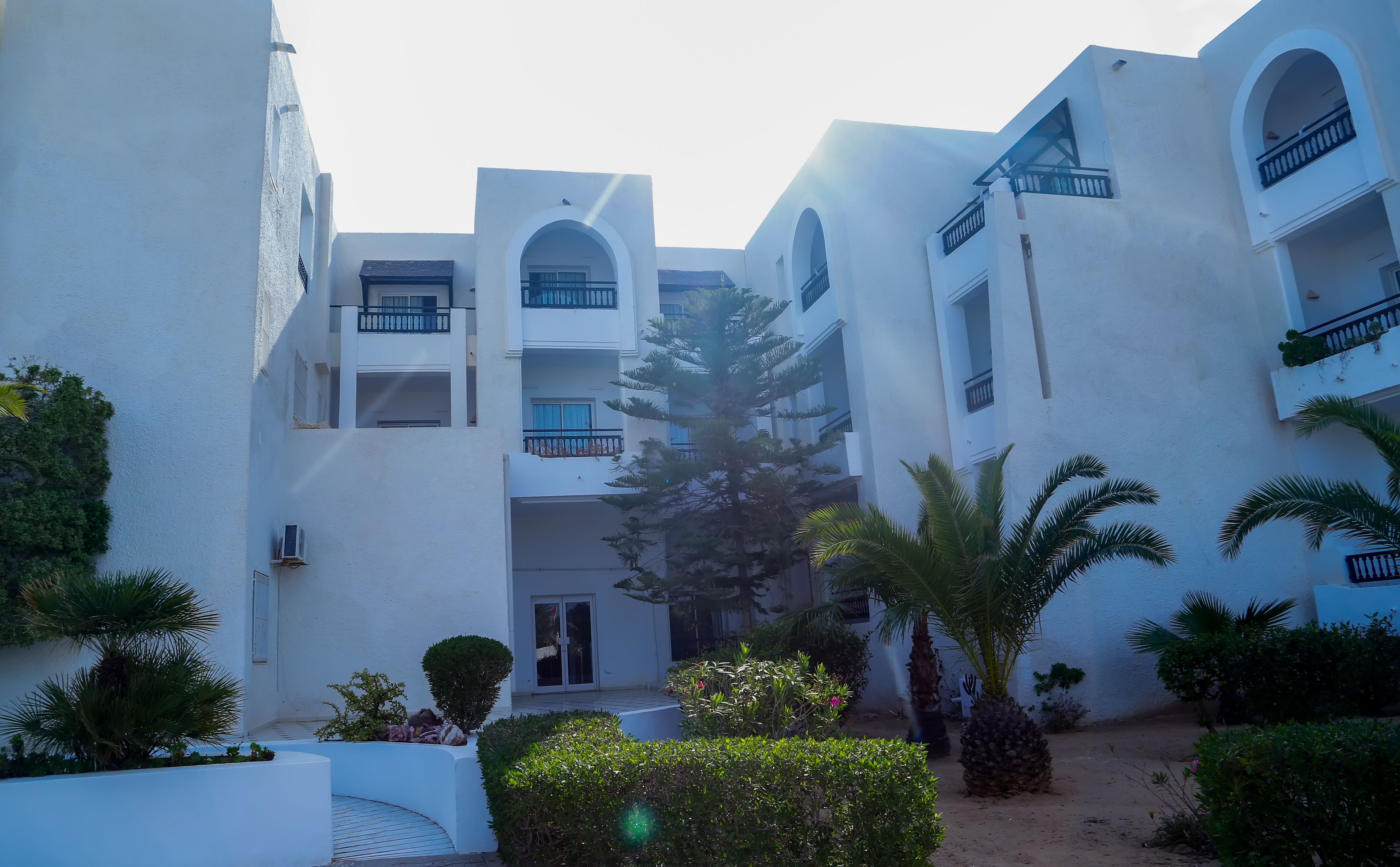 A courtyard with white buildings, a palm tree, and a small garden.