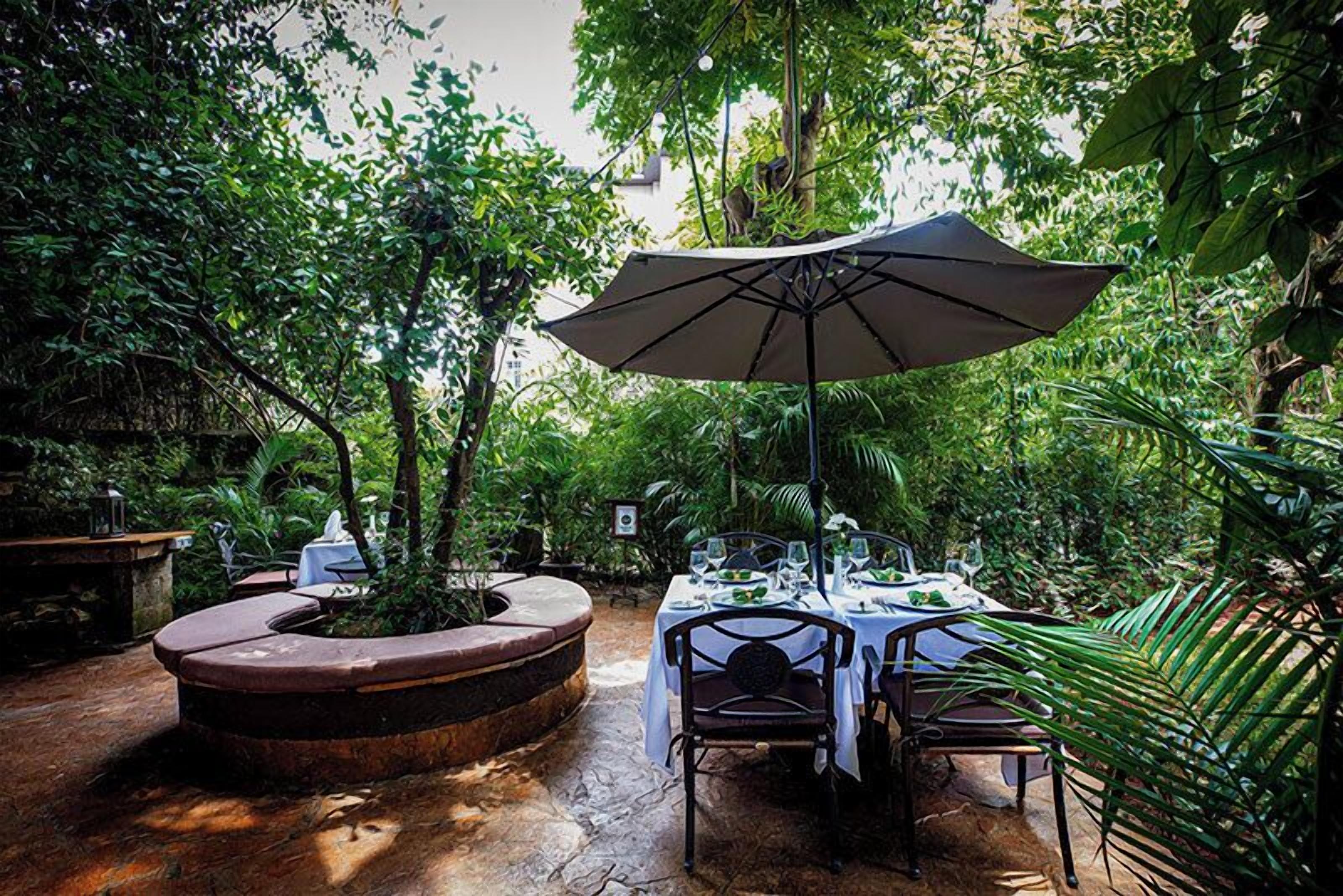 Un área de comedor al aire libre con mesas y sillas, rodeada de exuberante follaje y árboles.