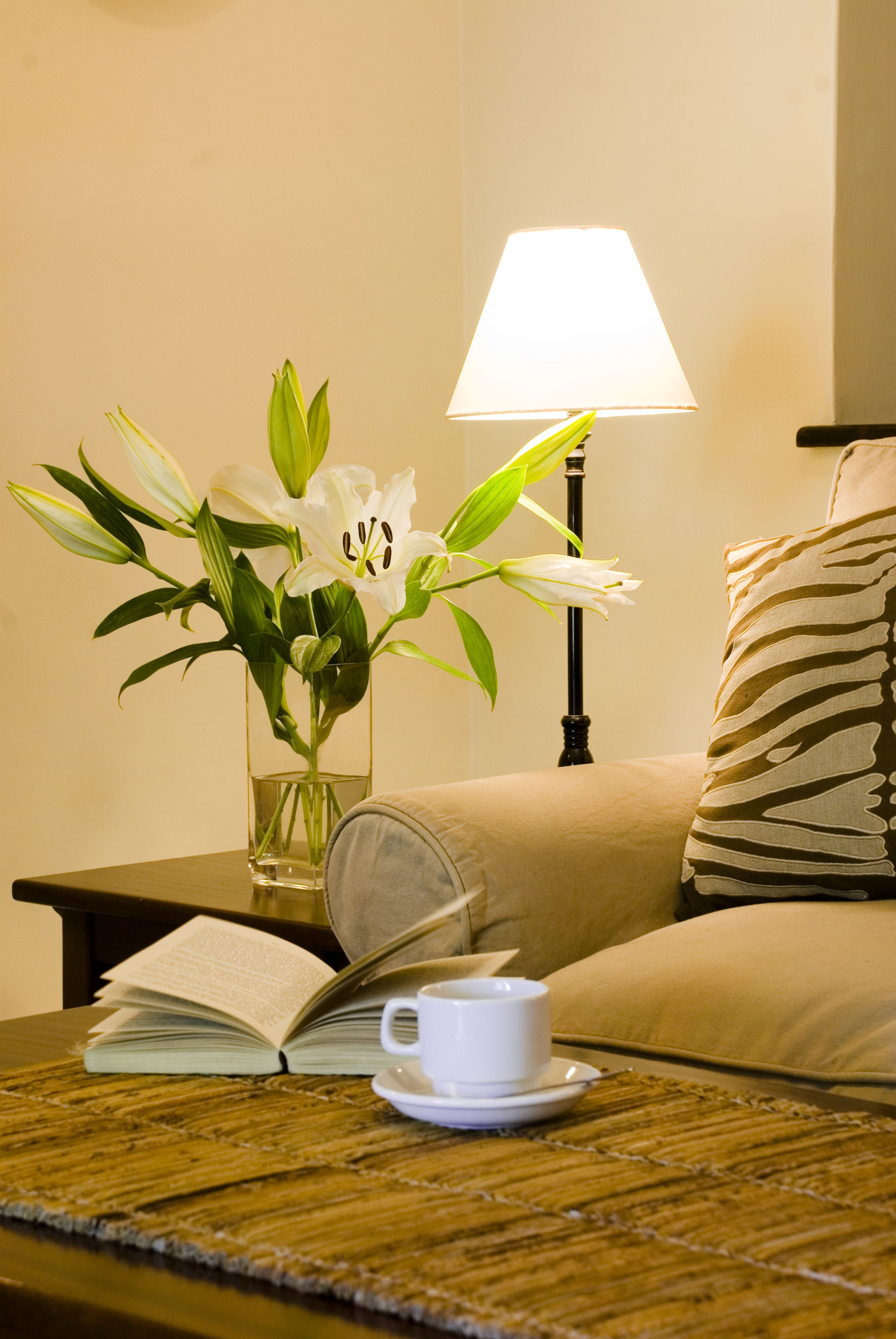 43-inch flat-screen tv with satellite channels, fireplace