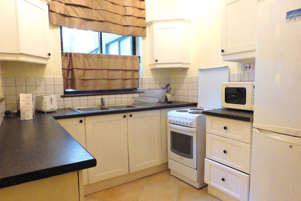 business studio, 1 bedroom, non smoking | private kitchenette | fridge, microwave, stovetop, coffee/tea maker