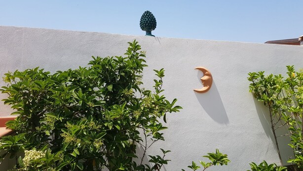 Une façade d’immeuble avec un mur blanc à texture, une sculpture en forme de croissant de lune et un feuillage verdoyant et luxuriant.