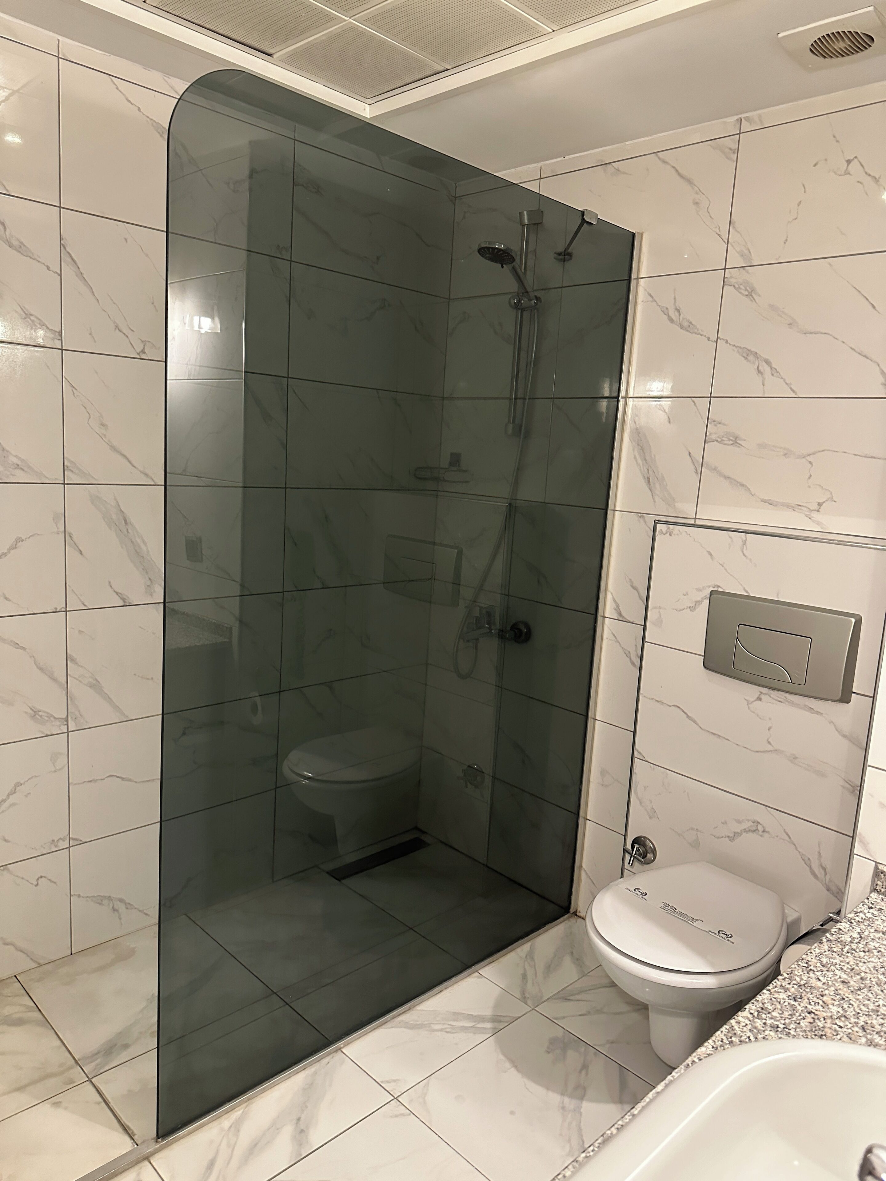 A modern bathroom with a glass-enclosed shower, a toilet, and a sink.