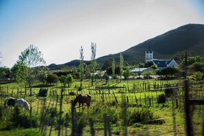 Exterior - Karoo Art Hotel (Barrydale)