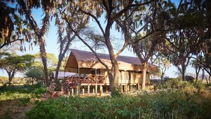 A safari lodge with a wooden structure, elevated platform, and a thatched roof. - Elephant Bedroom Camp (Samburu)