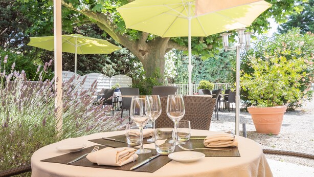 Een terras met ronde tafels, gele parasols en een boom op de achtergrond.