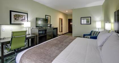 Holiday Inn Express & Suites Carrizo Springs by IHG