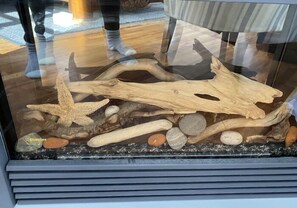 A glass display case containing a naturalistic arrangement of driftwood, rocks, and a starfish.