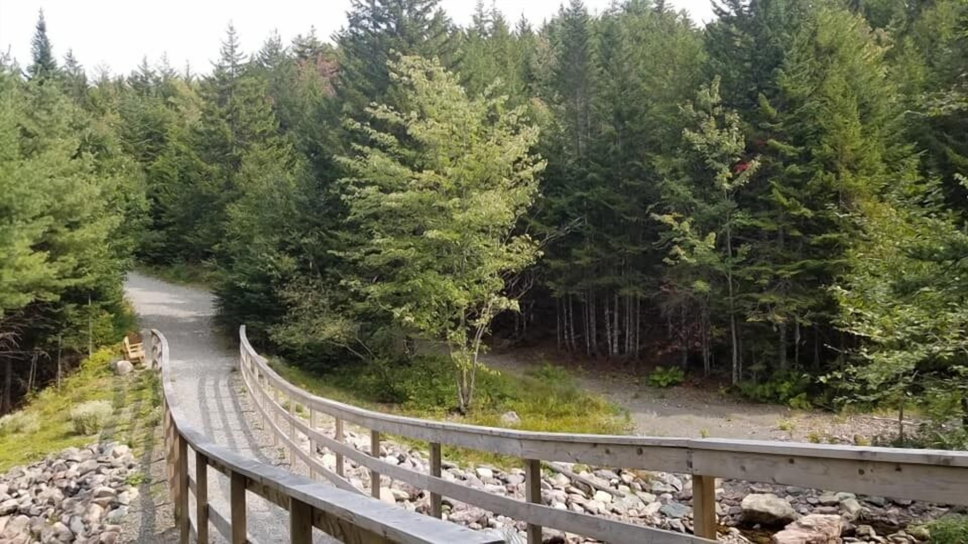 Un pont en bois aux arches courbes, situé dans une zone boisée où les arbres sont nombreux et où l’on trouve un sentier recouvert de gravier.