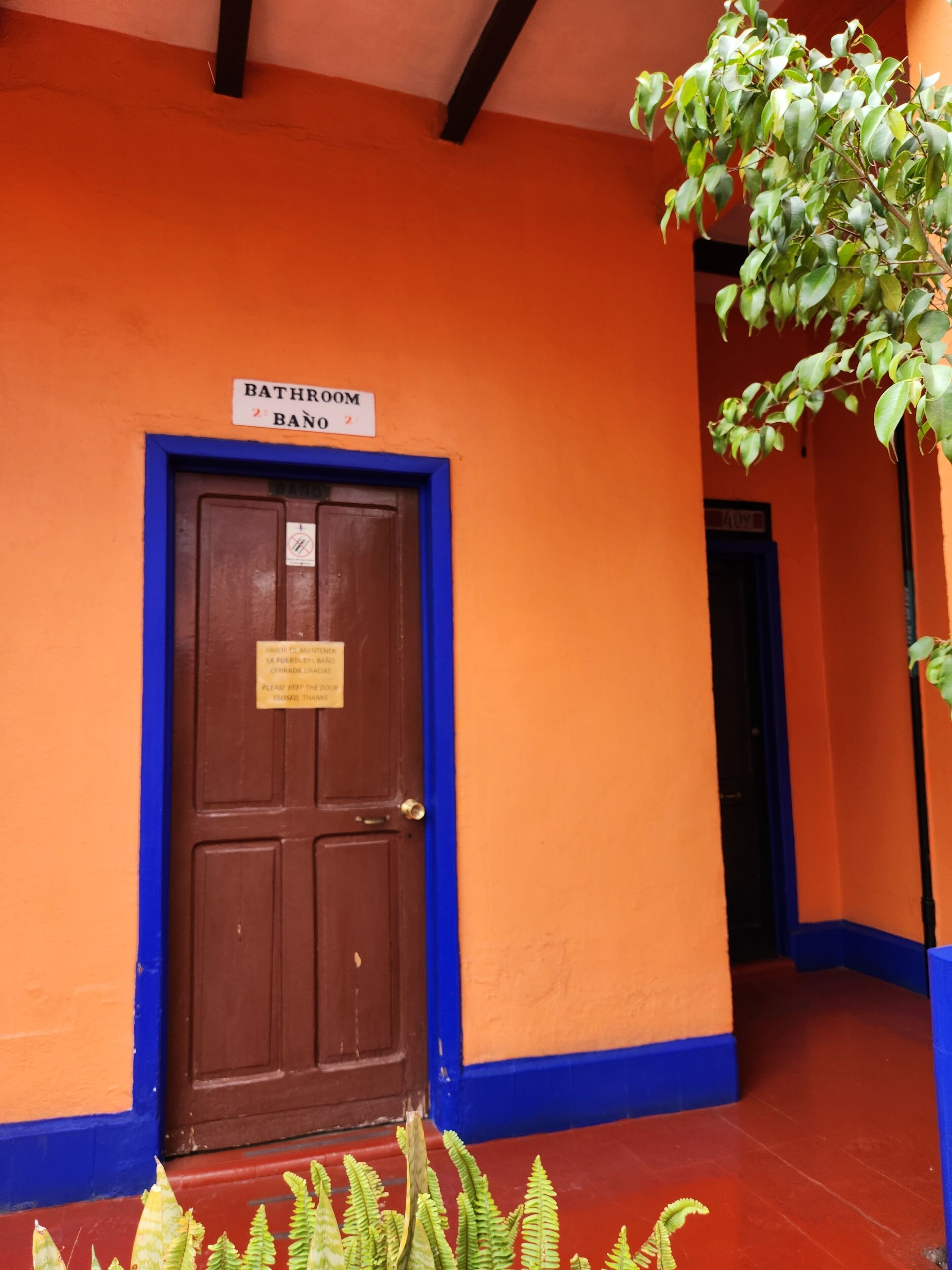 Photo - Hotel Isabel