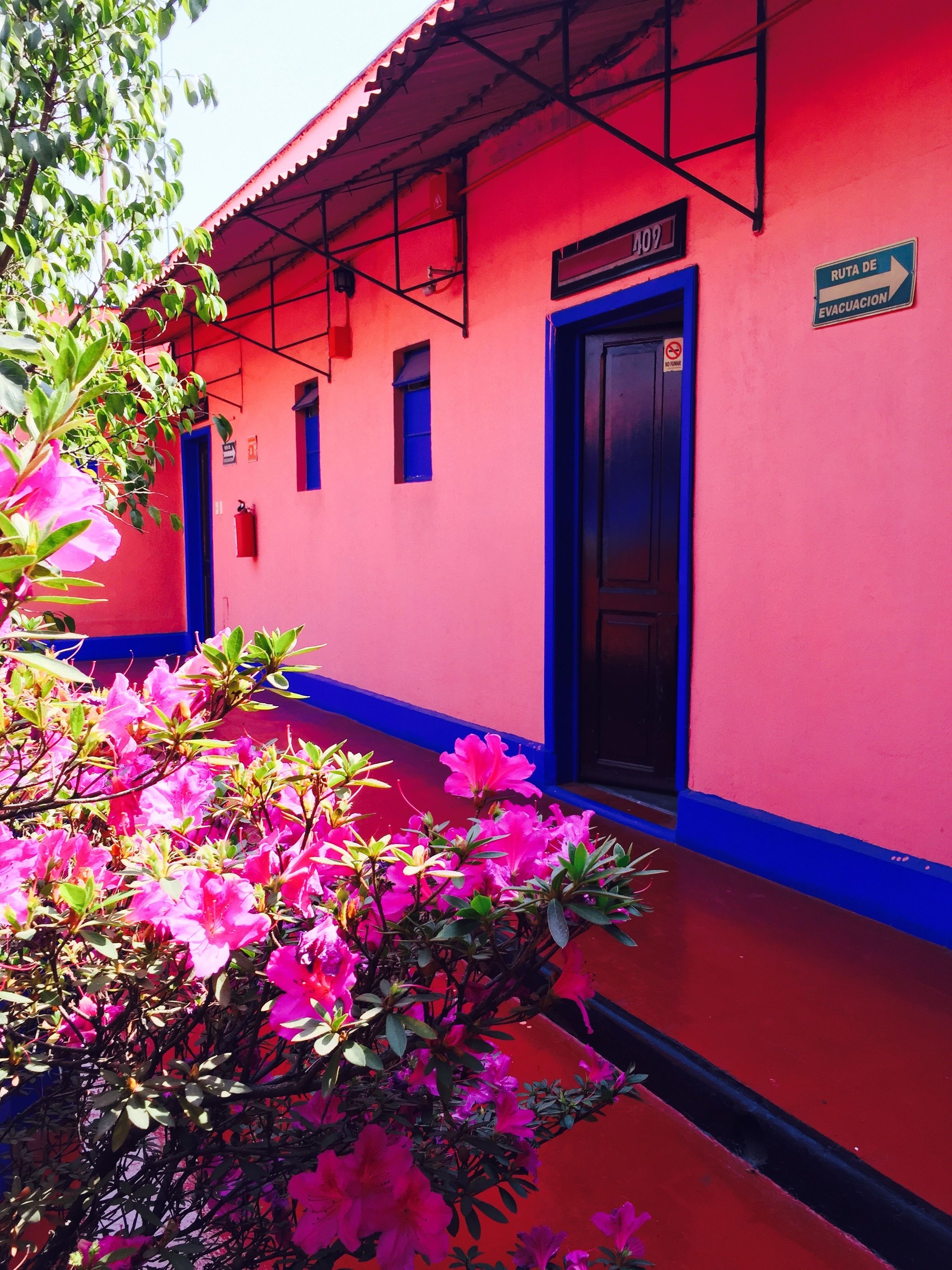 Photo - Hotel Isabel