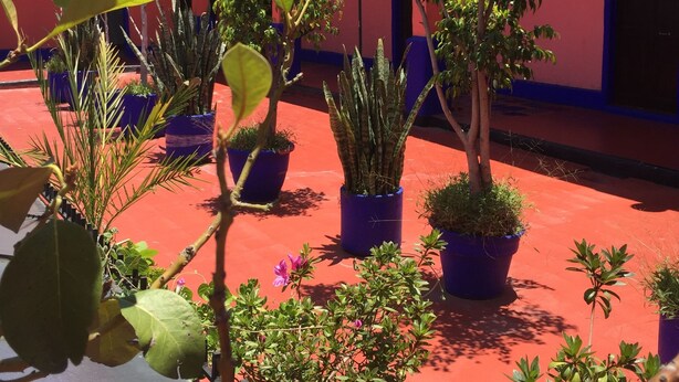 A courtyard with potted plants and a red building. - Hotel Isabel (Mexico City)