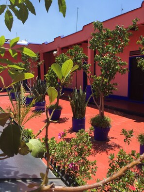 Exterior - Hotel Isabel (Mexico City)