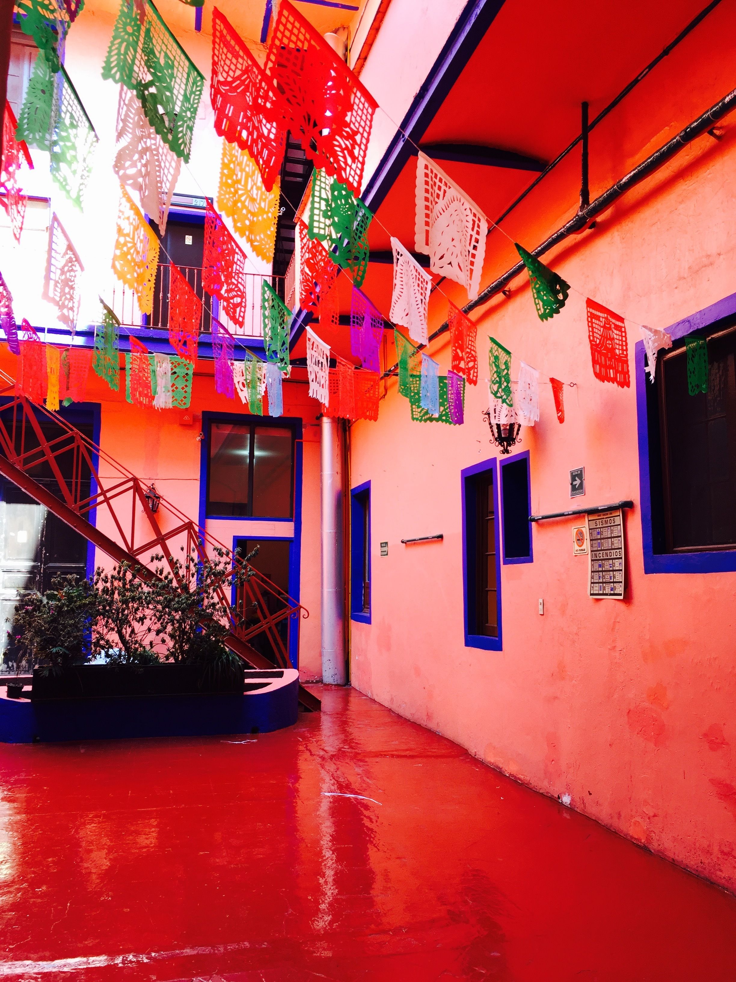 Photo - Hotel Isabel