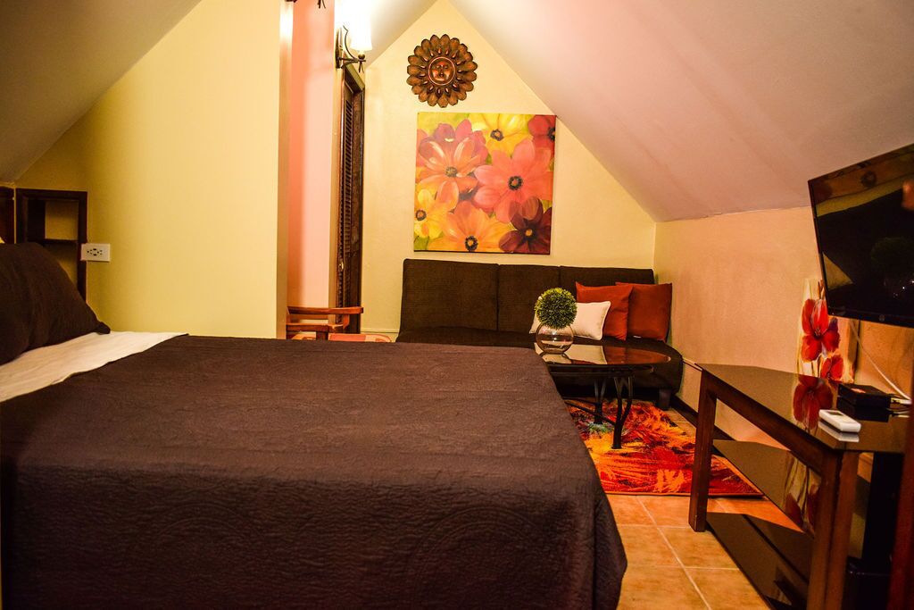 Un dormitorio con una cama grande, una mesita pequeña, una silla, un televisor y un cuadro con motivos florales en la pared.